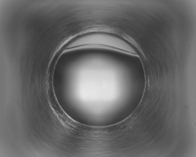 X0000080780436200612151036