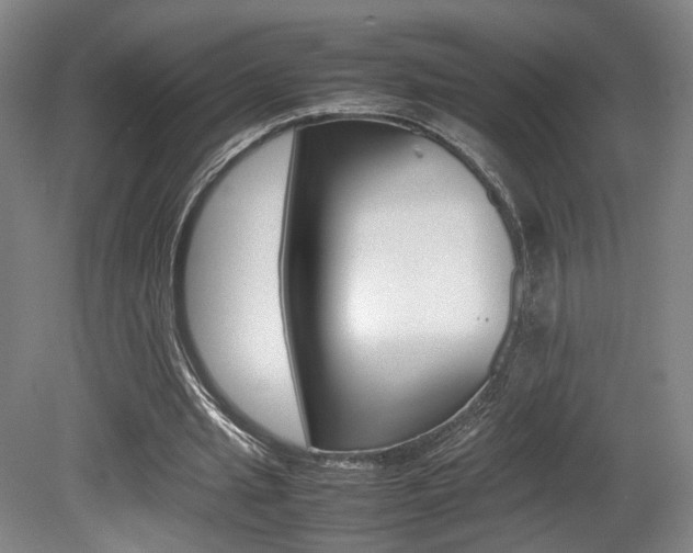 X0000080780437200612151036