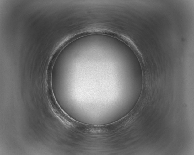 X0000080780439200612151036
