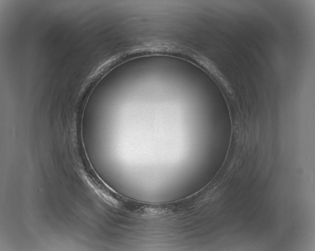 X0000080780442200612151036