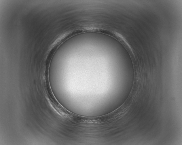 X0000080780443200612151036