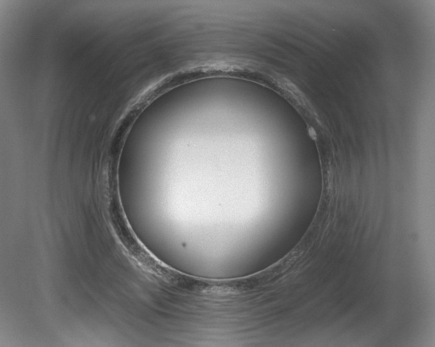 X0000080780444200612151036