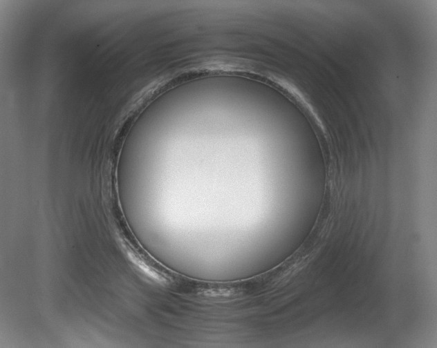 X0000080780445200612151036