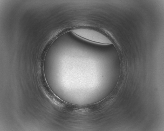 X0000080780447200612151036