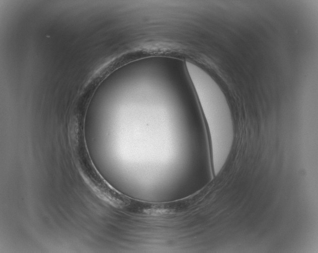 X0000080780448200612151036