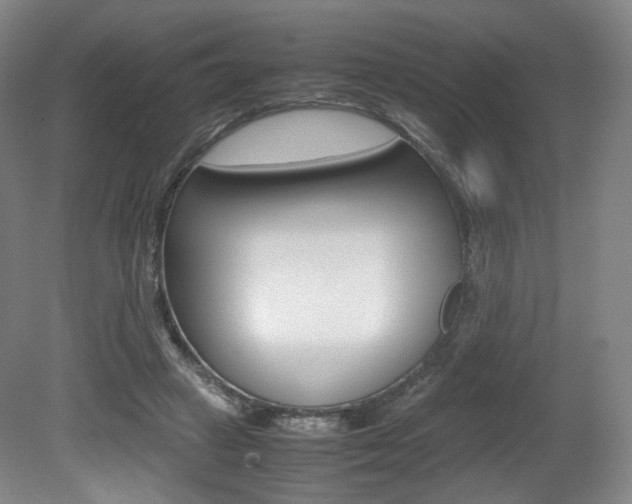 X0000080780449200612151036