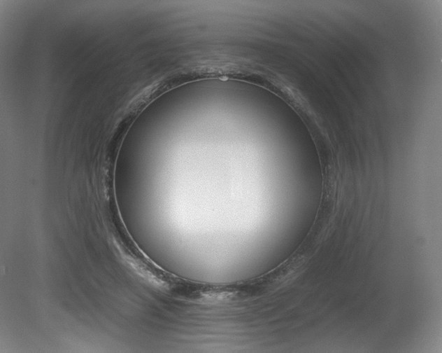 X0000080780450200612151036