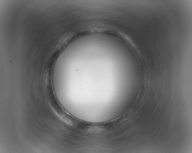 X0000080780451200612151036