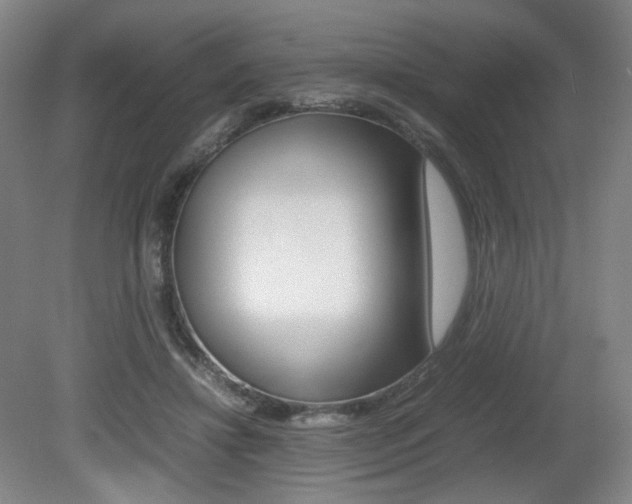 X0000080780452200612151036