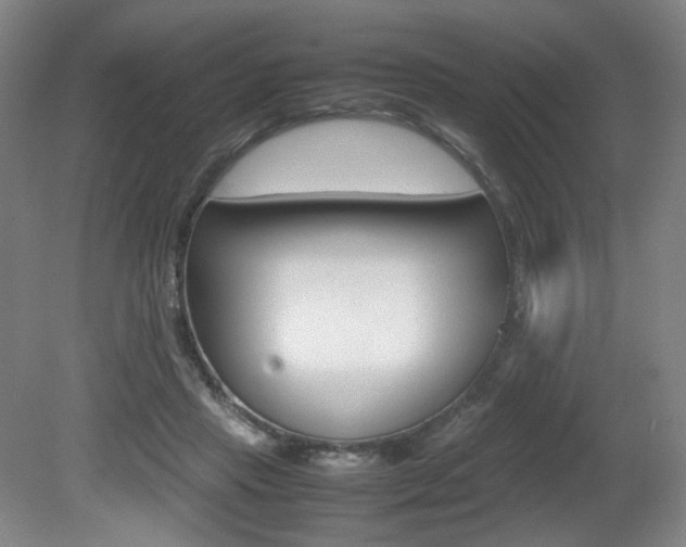 X0000080780453200612151036