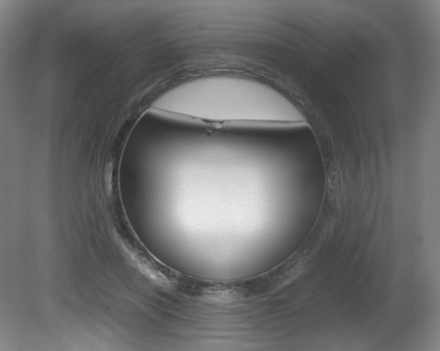 X0000080780454200612151036