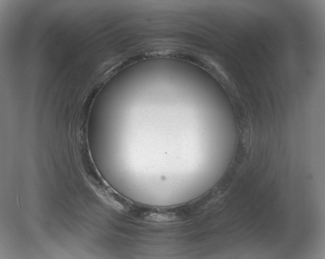 X0000080780455200612151036