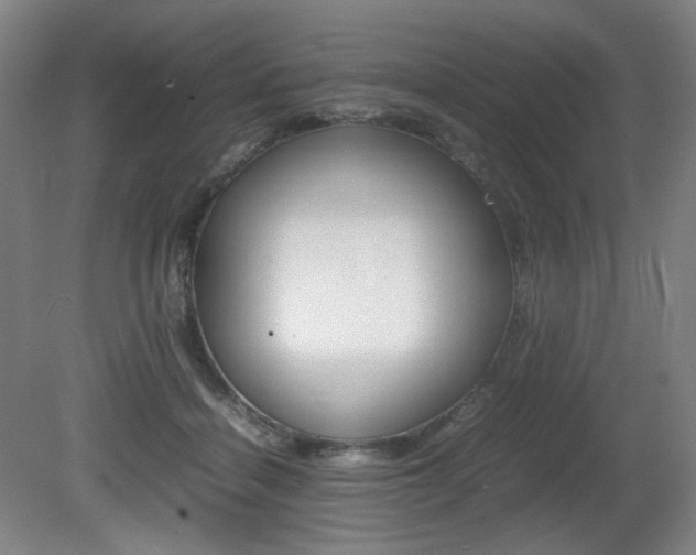 X0000080780460200612151036