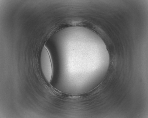 X0000080780461200612151036