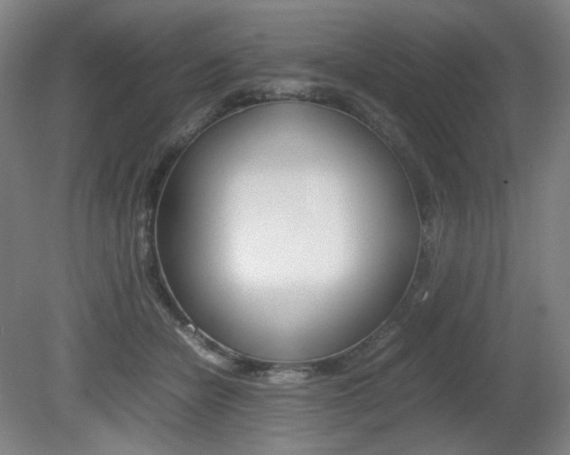X0000080780462200612151036