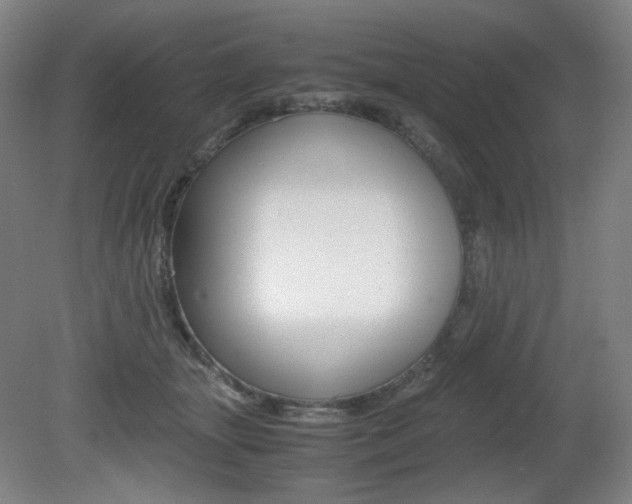 X0000080780463200612151036