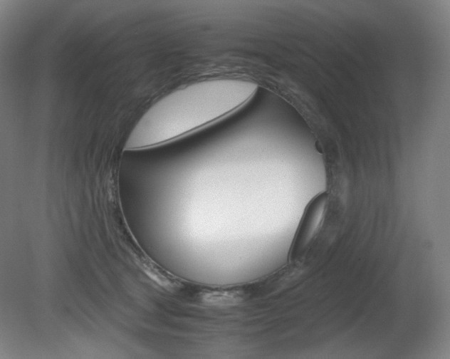 X0000080780465200612151036