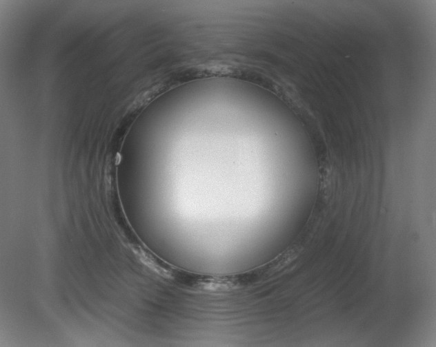 X0000080780466200612151036