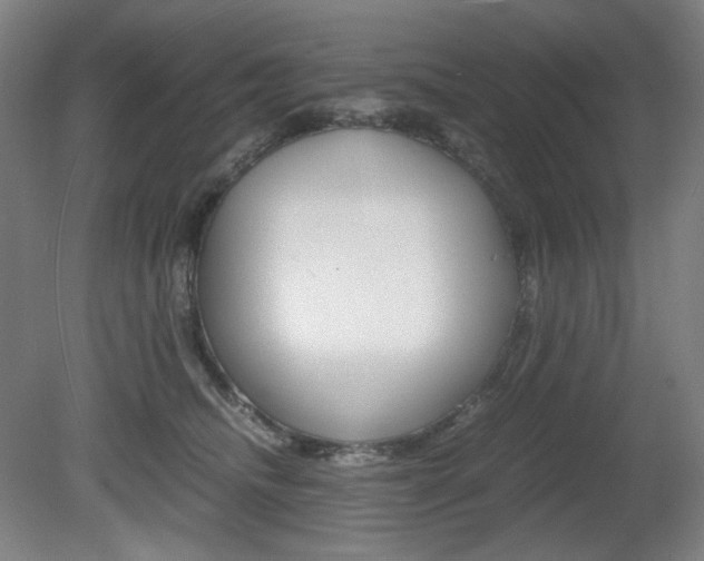 X0000080780468200612151036