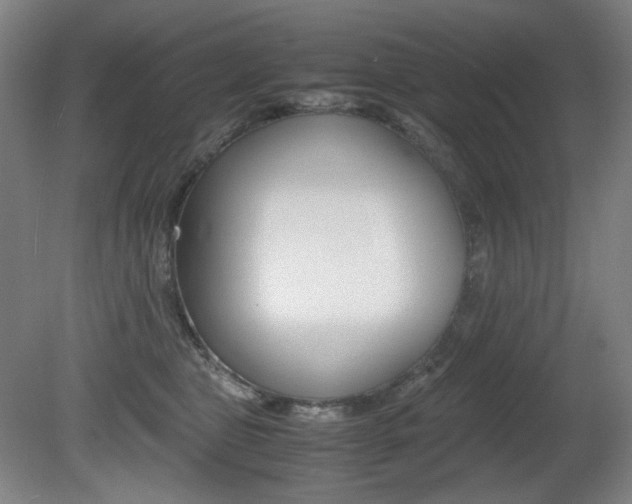 X0000080780469200612151036