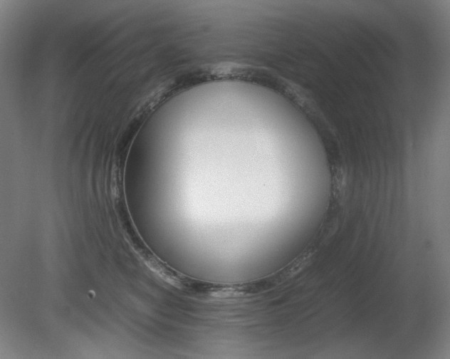 X0000080780470200612151036