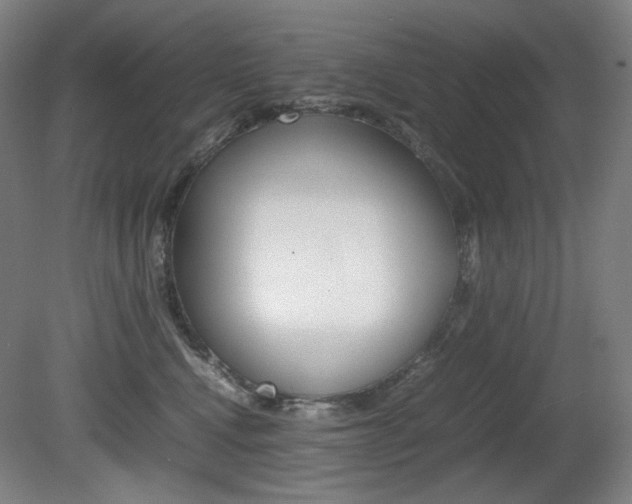 X0000080780472200612151036