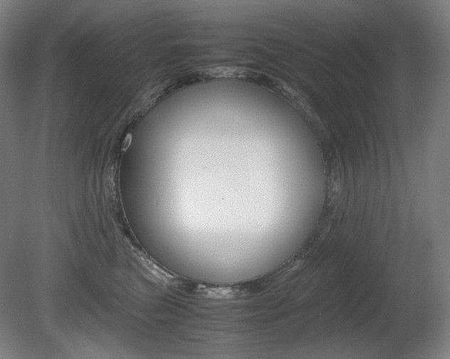 X0000080780473200612151036