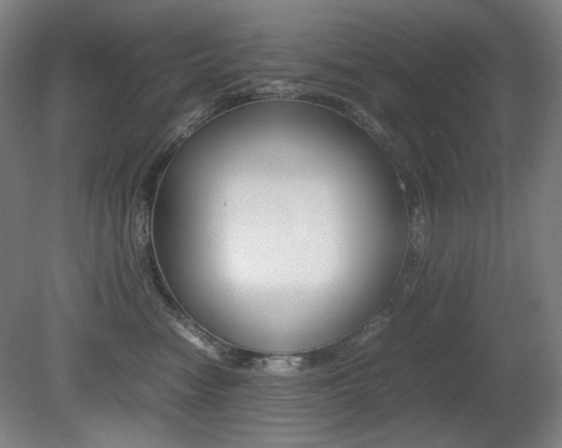 X0000080780474200612151036
