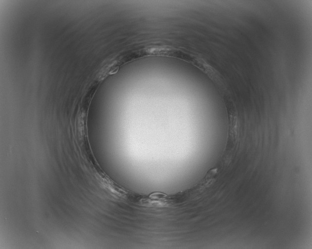 X0000080780475200612151036