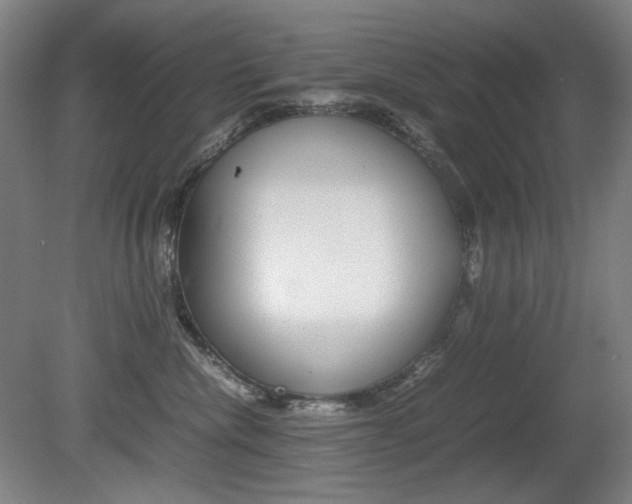 X0000080780476200612151036