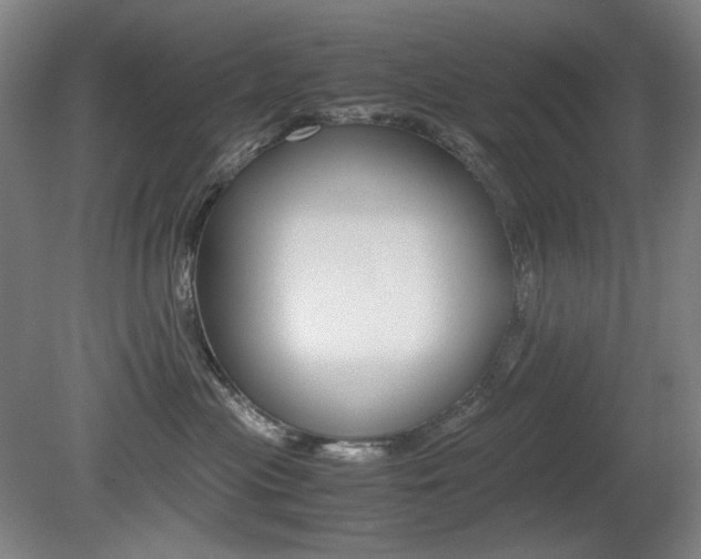 X0000080780477200612151036