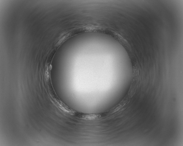 X0000080780479200612151036