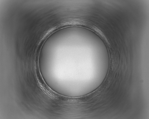X0000080780482200612151036