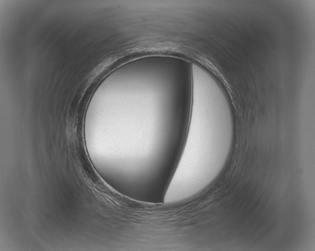 X0000080780483200612151036