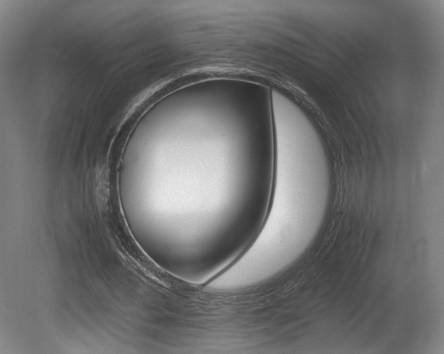 X0000080780484200612151036