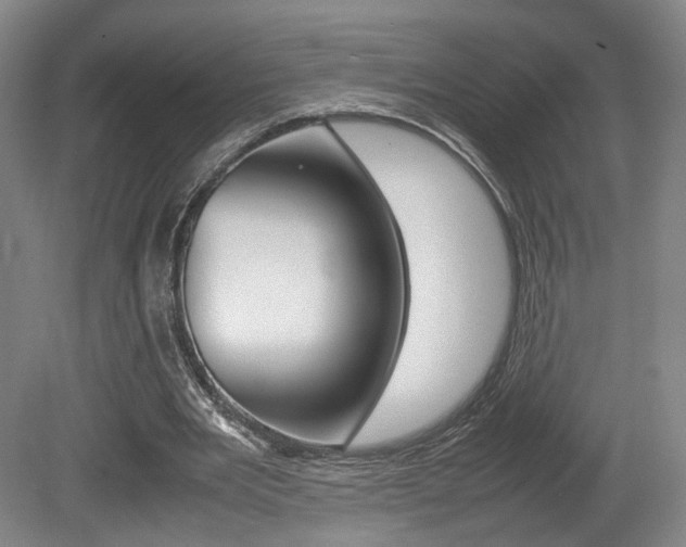 X0000080780485200612151036