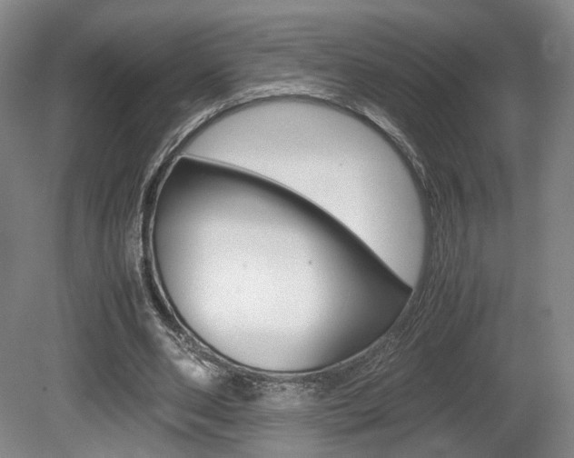 X0000080780486200612151036