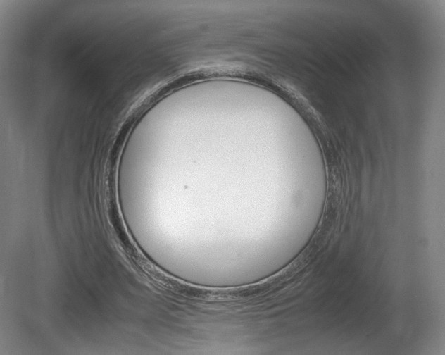 X0000080780487200612151036