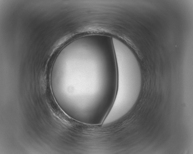 X0000080780488200612151036