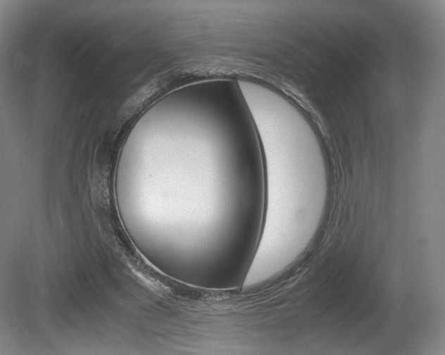 X0000080780489200612151036