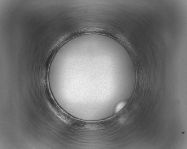 X0000080780490200612151035