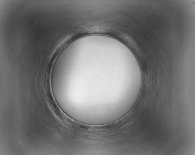 X0000080780491200612151035