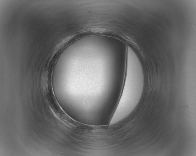X0000080780492200612151035
