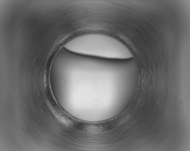 X0000080780494200612151035