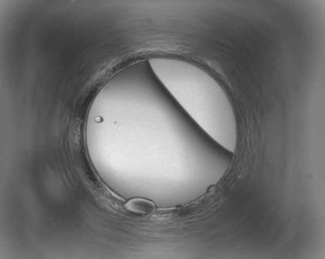 X0000080780495200612151035