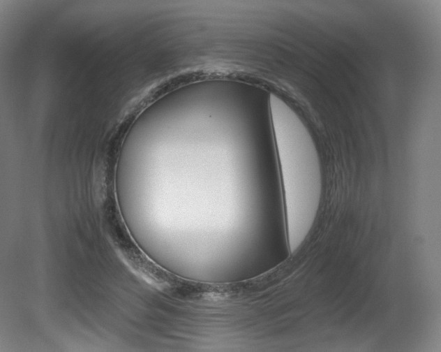 X0000080780496200612151035