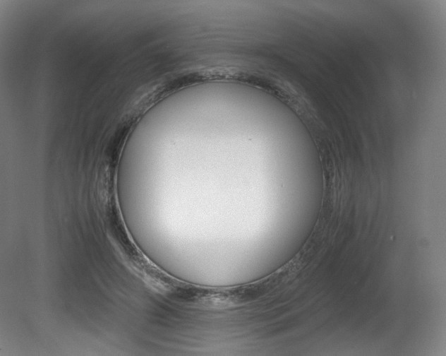 X0000080780498200612151035