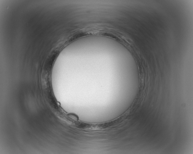 X0000080780503200612151035