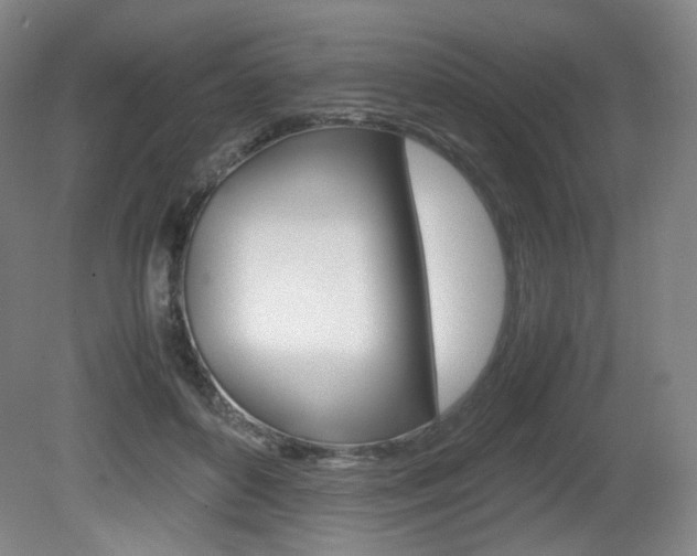 X0000080780504200612151035