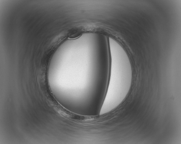 X0000080780505200612151035
